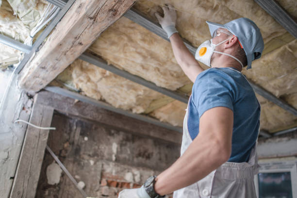 Best Energy Efficiency Insulation in Diberville, MS