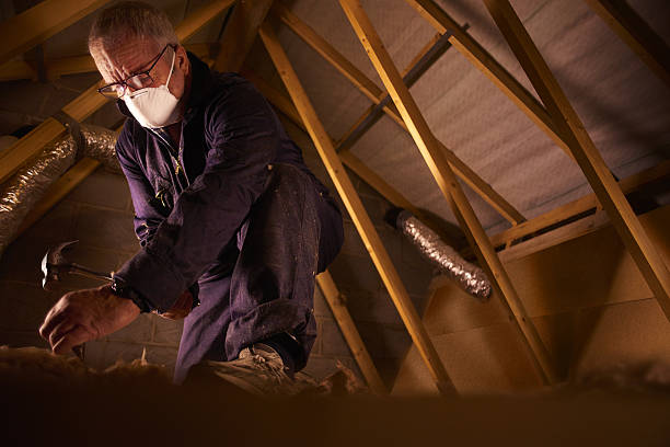 Best Commercial Insulation in Diberville, MS