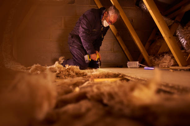 Professional Insulation Contractor in Diberville, MS