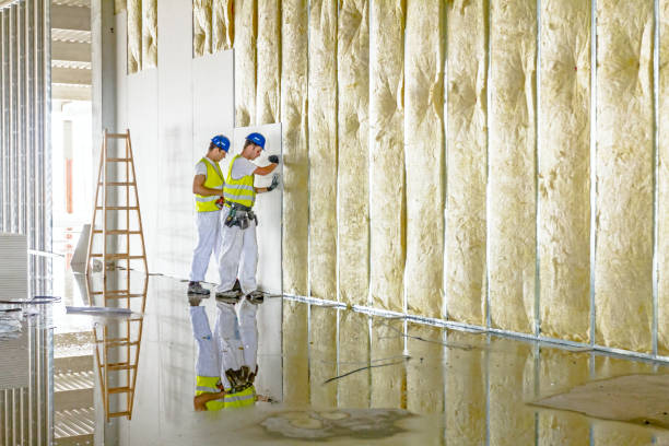 Best Insulation Maintenance and Repair in Diberville, MS